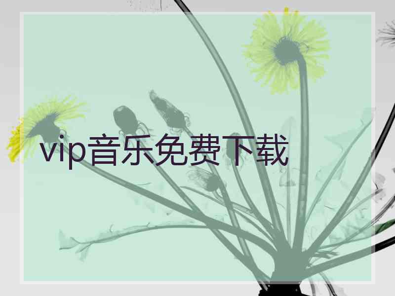 vip音乐免费下载