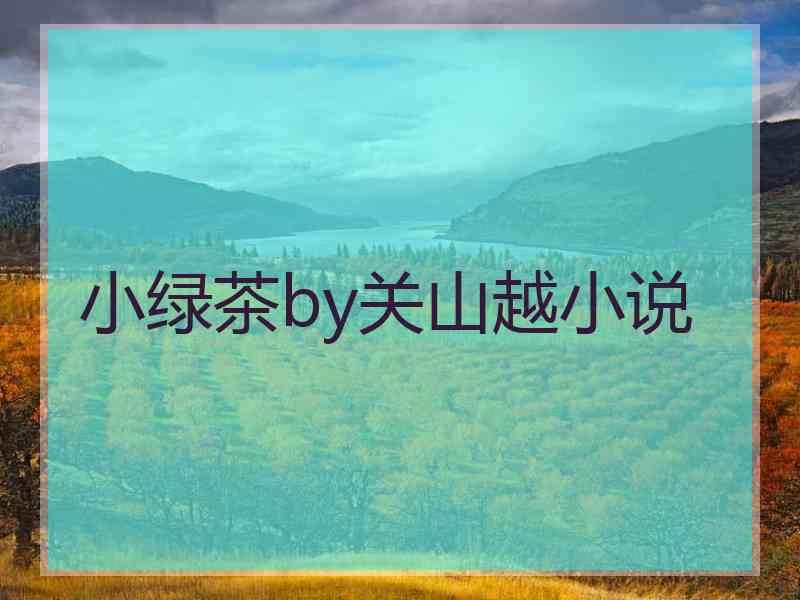 小绿茶by关山越小说