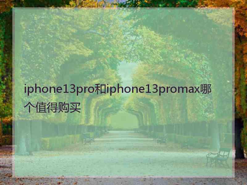 iphone13pro和iphone13promax哪个值得购买