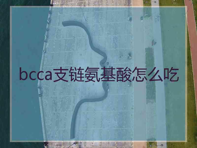 bcca支链氨基酸怎么吃