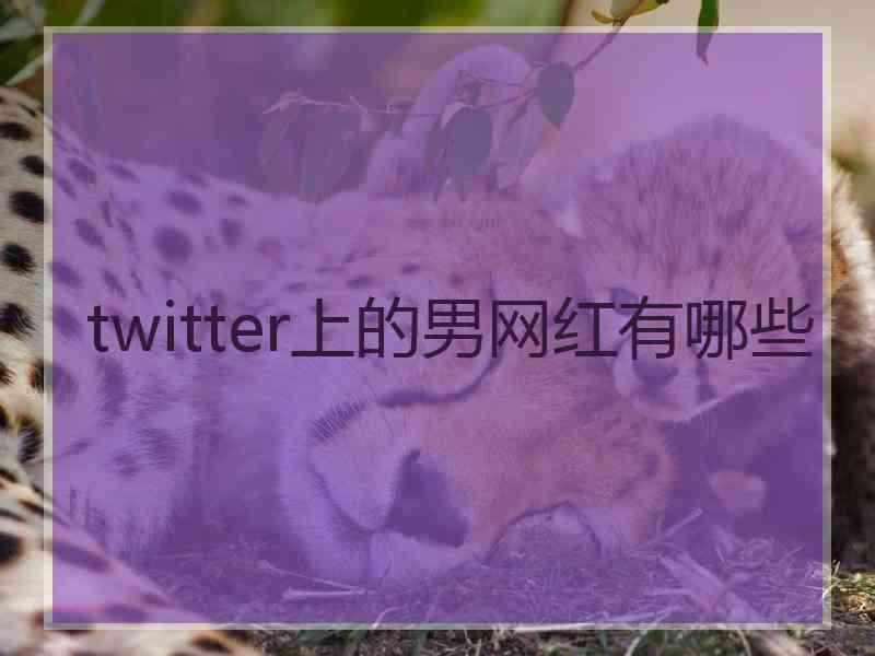 twitter上的男网红有哪些