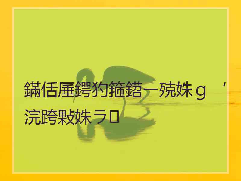 鏋佸厜鍔犳箍鍣ㄧ殑姝ｇ‘浣跨敤姝ラ