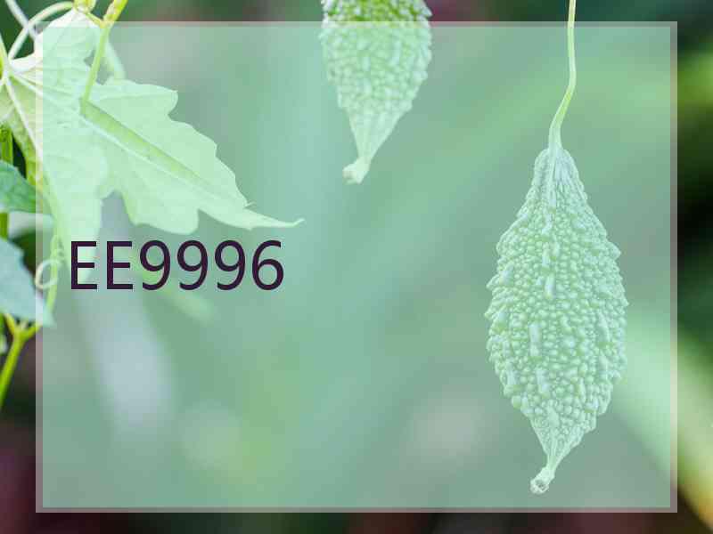 EE9996