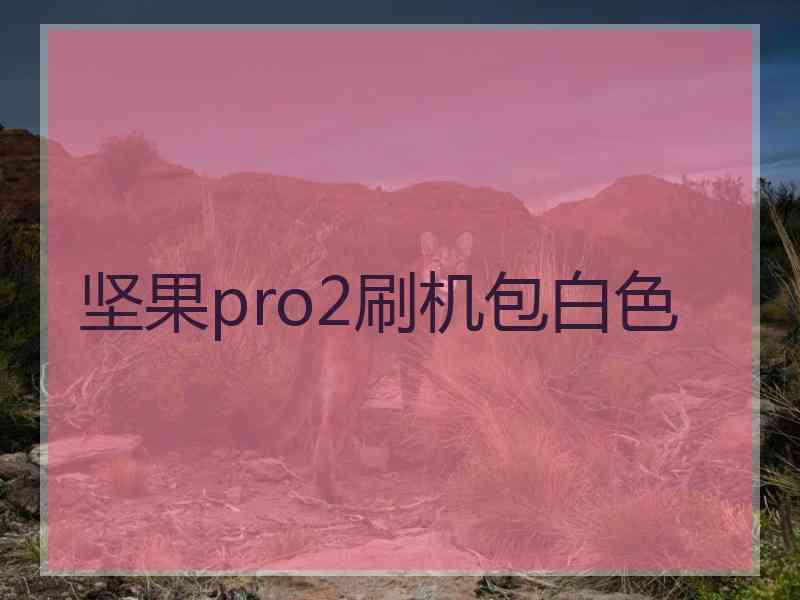 坚果pro2刷机包白色