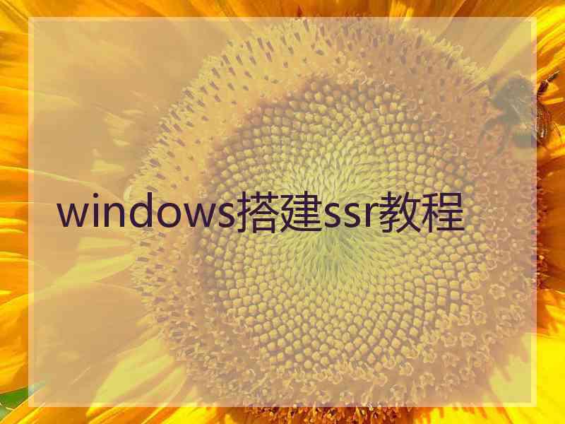 windows搭建ssr教程