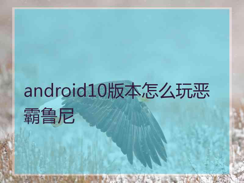 android10版本怎么玩恶霸鲁尼