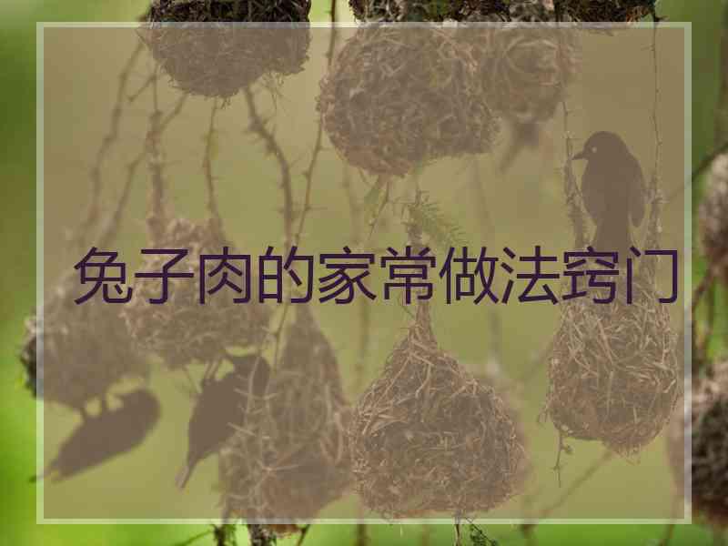 兔子肉的家常做法窍门