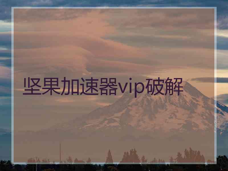 坚果加速器vip破解