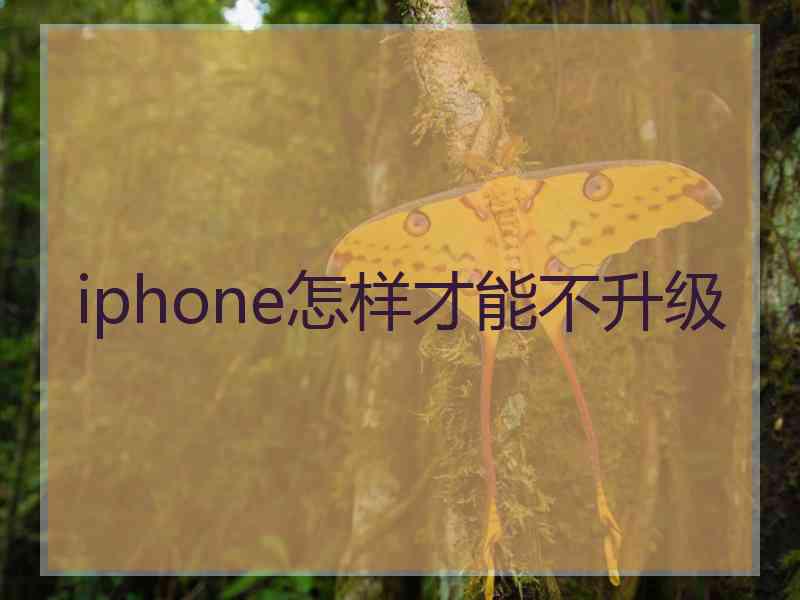 iphone怎样才能不升级