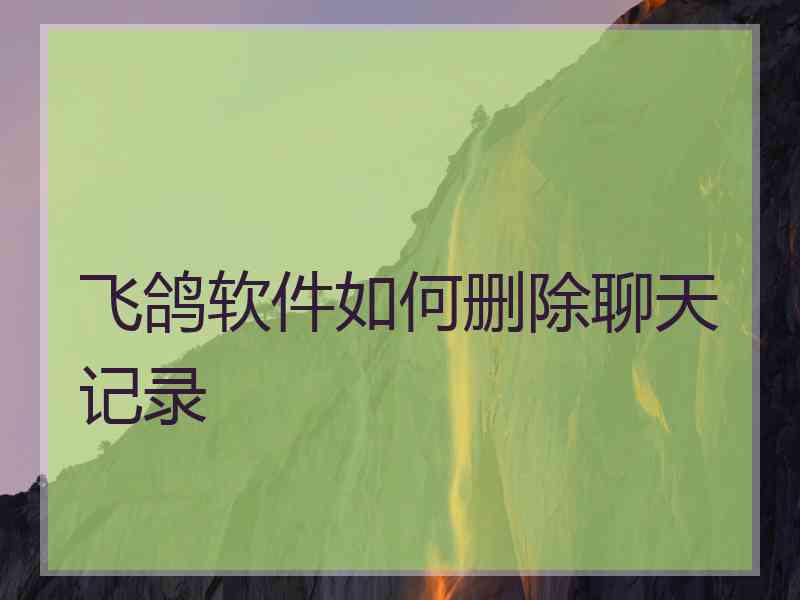 飞鸽软件如何删除聊天记录