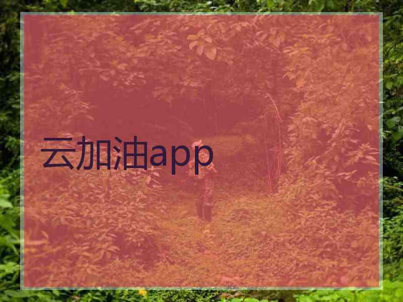 云加油app