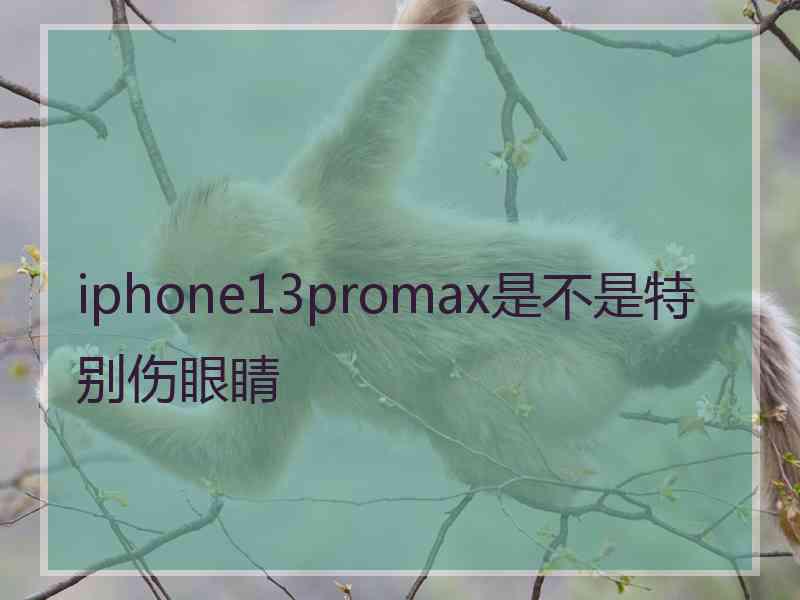 iphone13promax是不是特别伤眼睛