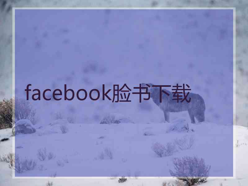 facebook脸书下载