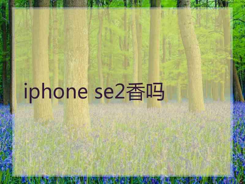 iphone se2香吗