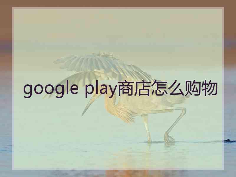 google play商店怎么购物