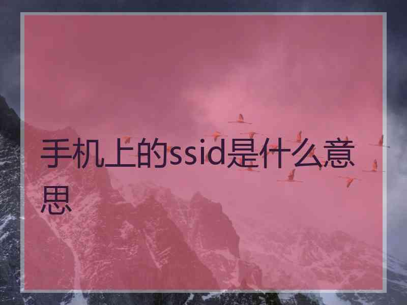 手机上的ssid是什么意思