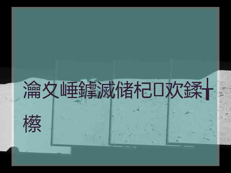 瀹夊崜鎼滅储杞欢鍒╁櫒