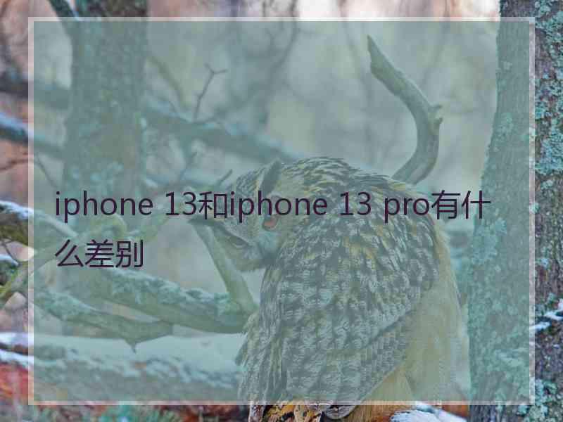 iphone 13和iphone 13 pro有什么差别