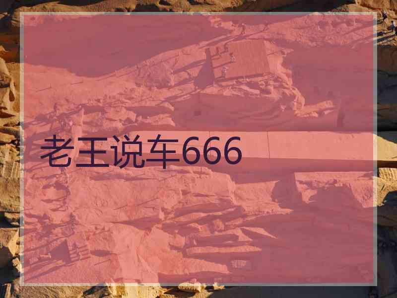 老王说车666