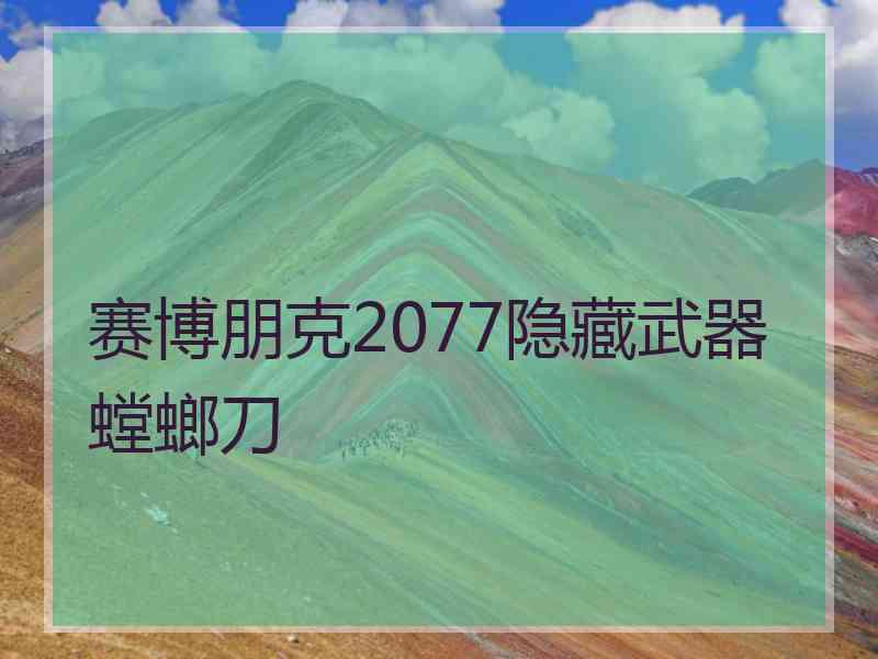 赛博朋克2077隐藏武器螳螂刀