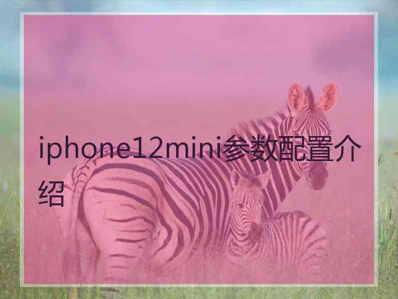 iphone12mini参数配置介绍