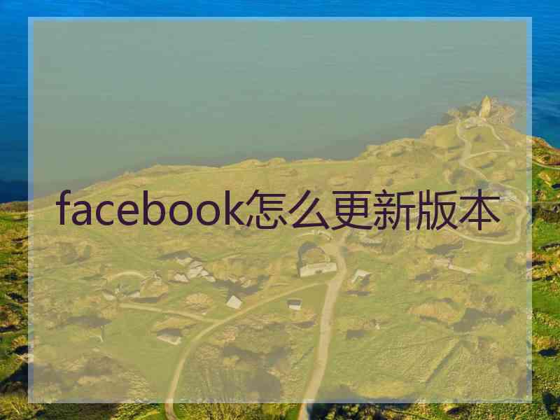 facebook怎么更新版本