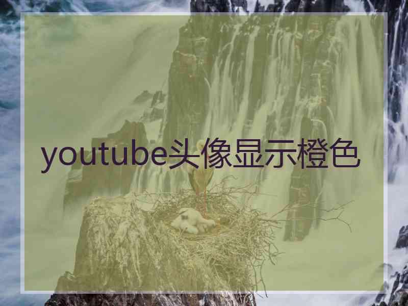 youtube头像显示橙色