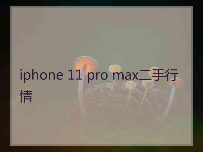 iphone 11 pro max二手行情