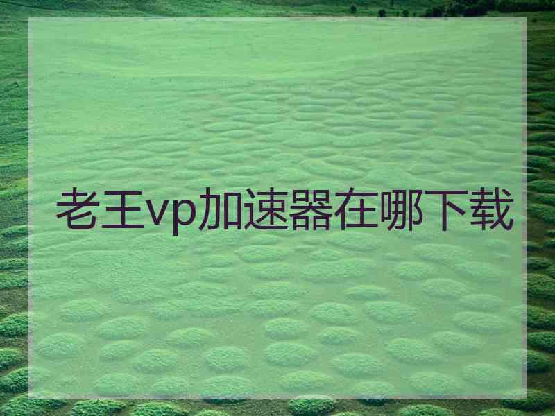 老王vp加速器在哪下载