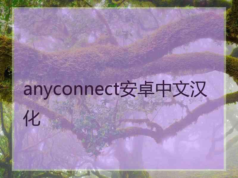 anyconnect安卓中文汉化