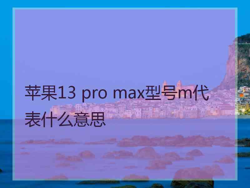 苹果13 pro max型号m代表什么意思