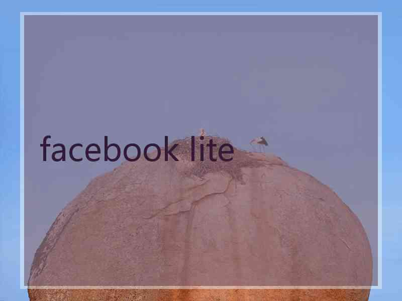 facebook lite