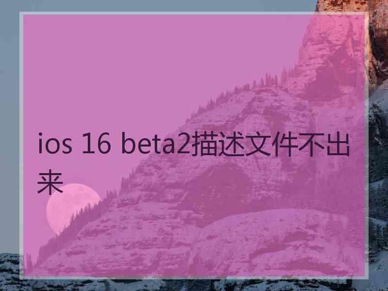 ios 16 beta2描述文件不出来