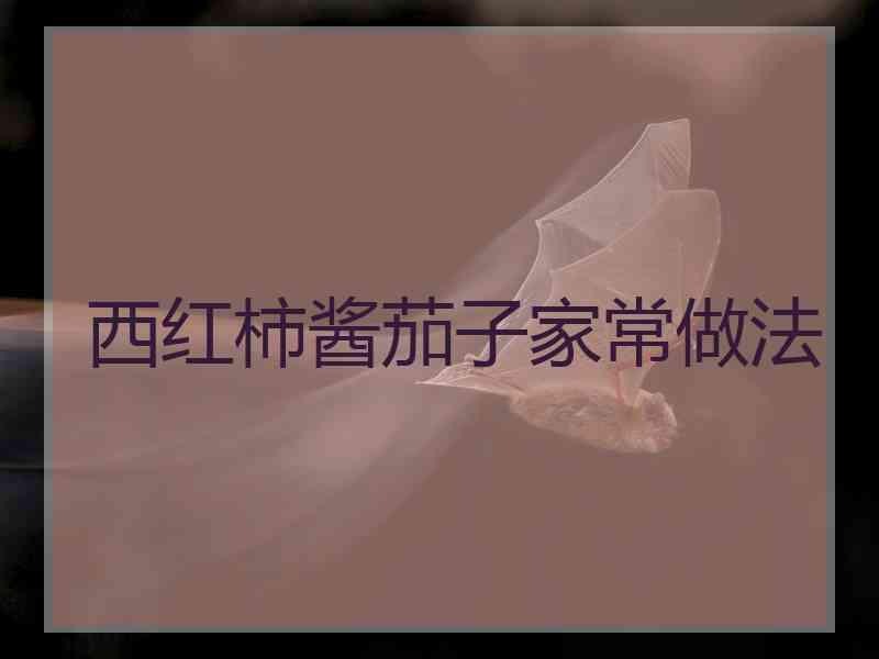 西红柿酱茄子家常做法