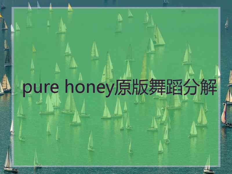 pure honey原版舞蹈分解