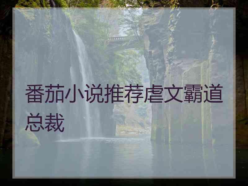 番茄小说推荐虐文霸道总裁