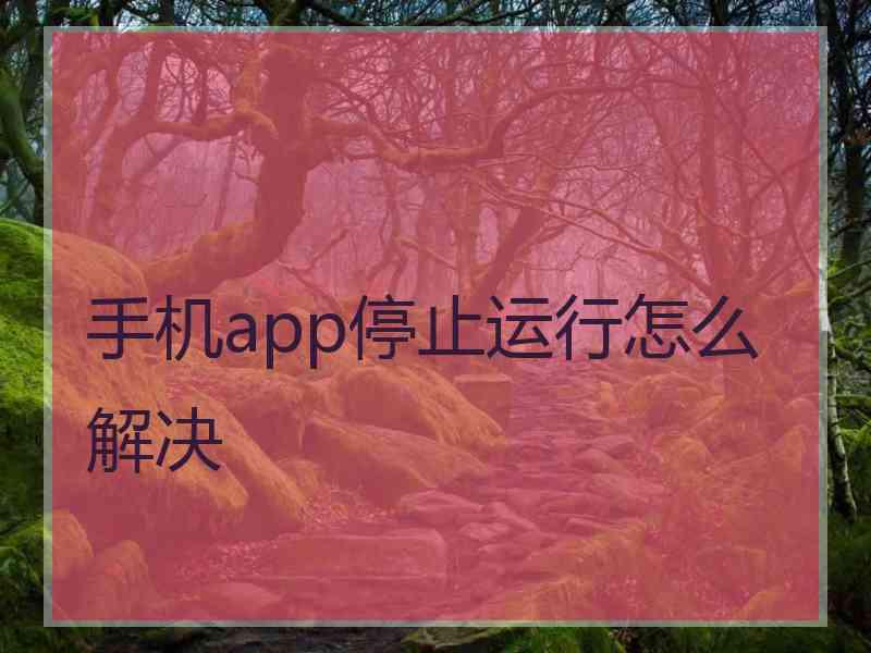 手机app停止运行怎么解决