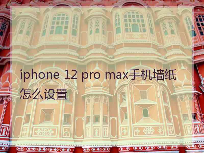 iphone 12 pro max手机墙纸怎么设置