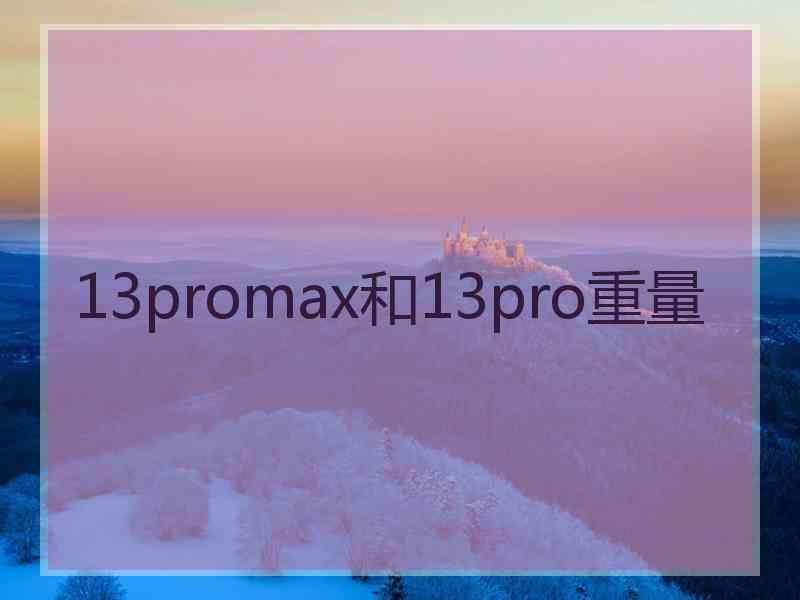 13promax和13pro重量