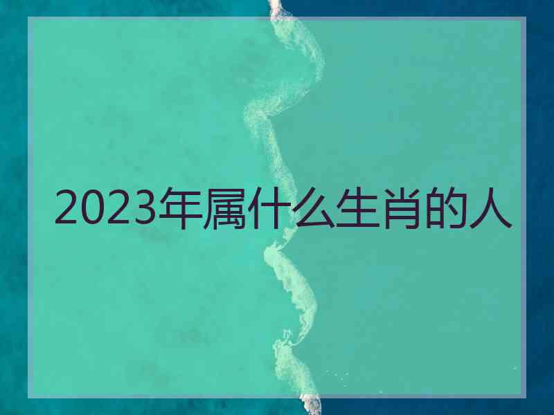 2023年属什么生肖的人