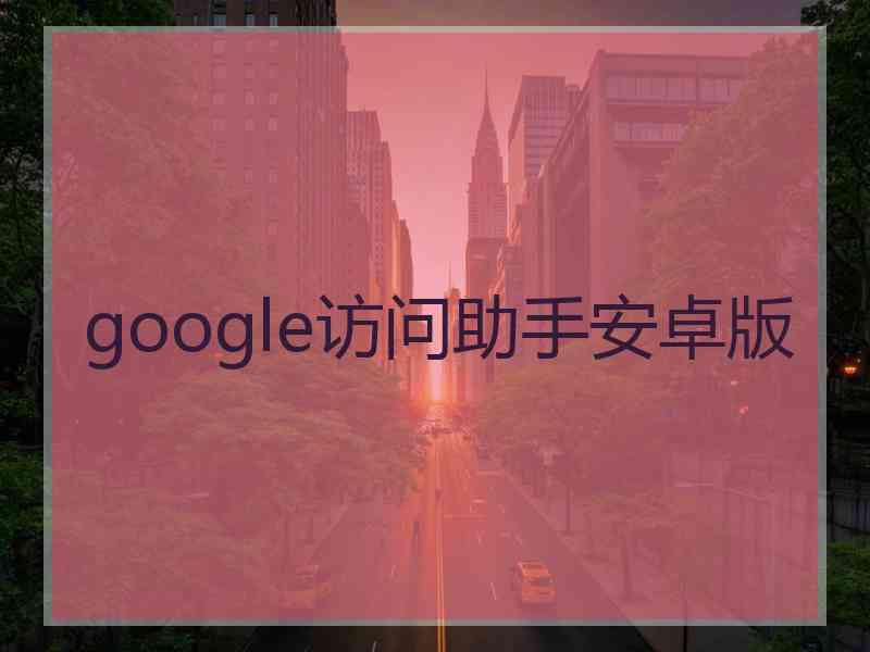 google访问助手安卓版