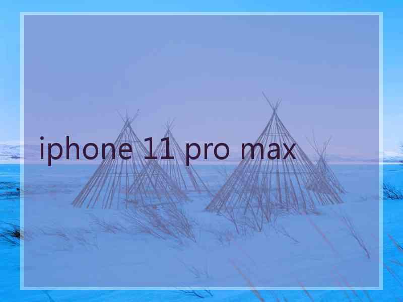 iphone 11 pro max