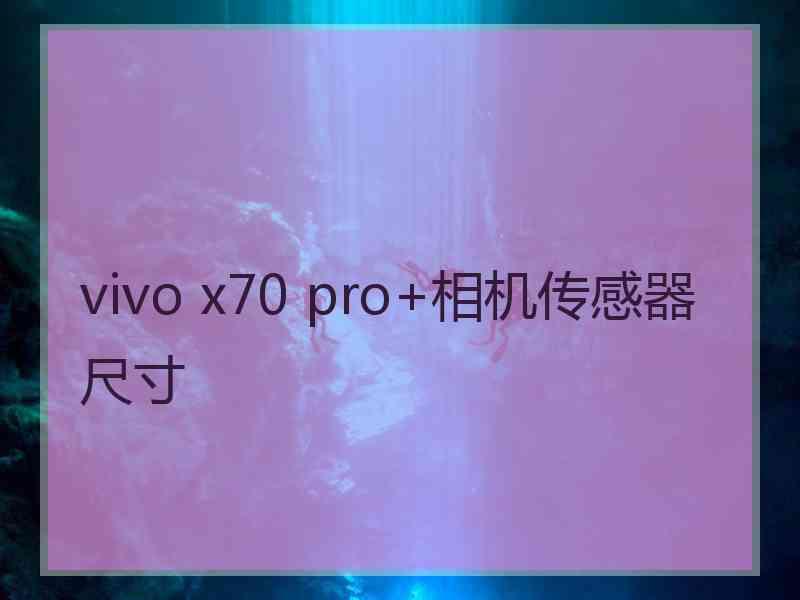 vivo x70 pro+相机传感器尺寸