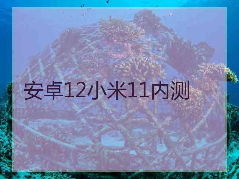 安卓12小米11内测