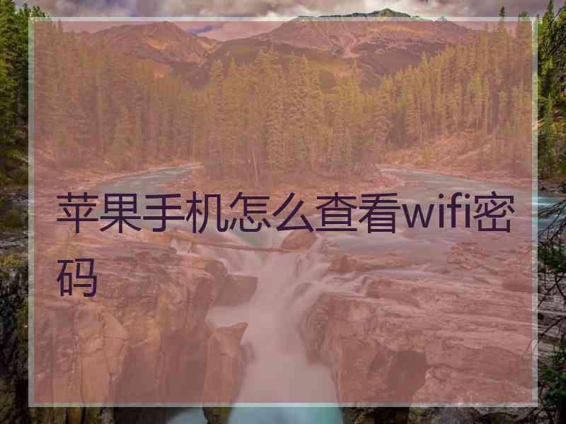 苹果手机怎么查看wifi密码