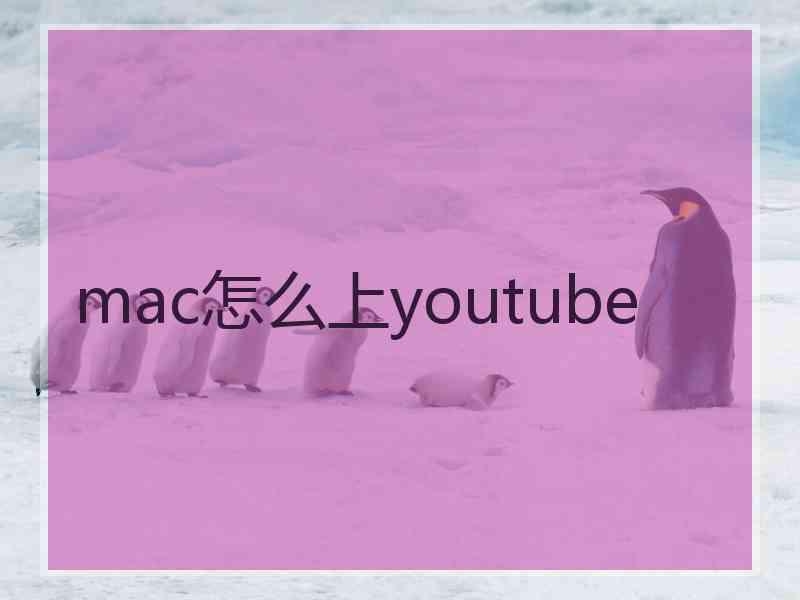 mac怎么上youtube