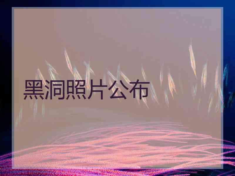 黑洞照片公布