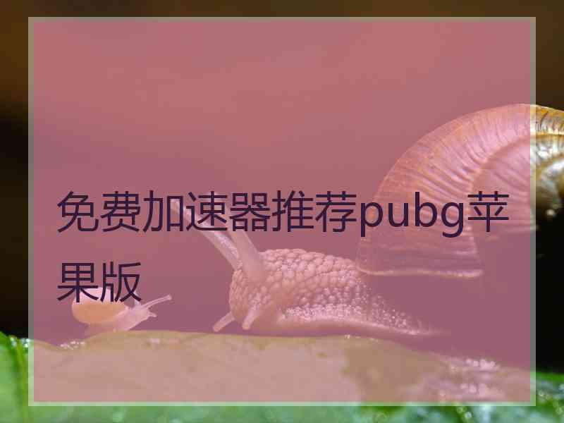 免费加速器推荐pubg苹果版