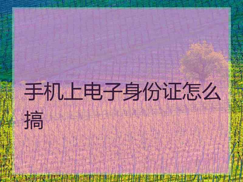 手机上电子身份证怎么搞