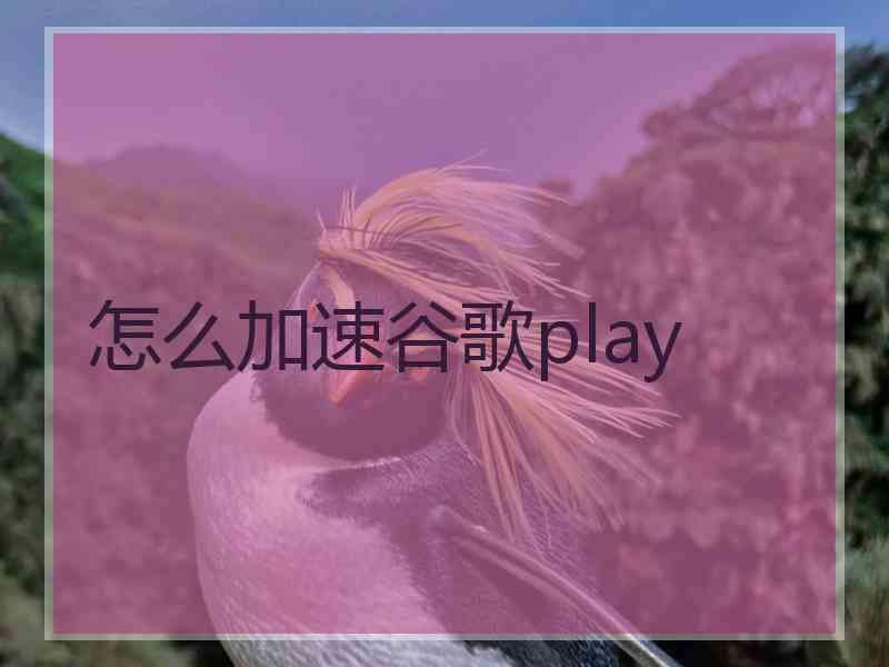 怎么加速谷歌play